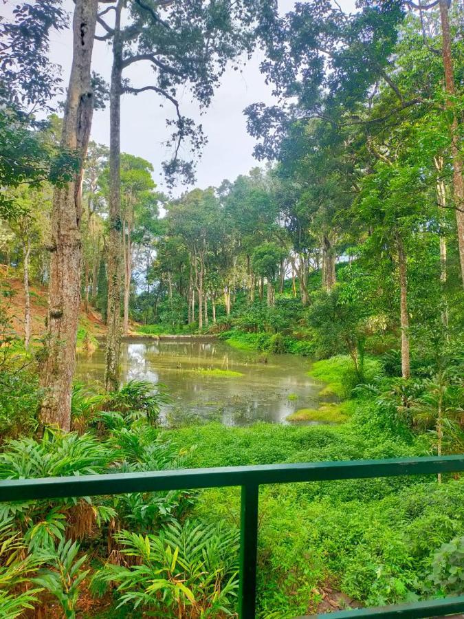 Singletree Resort, Munnar Exteriér fotografie